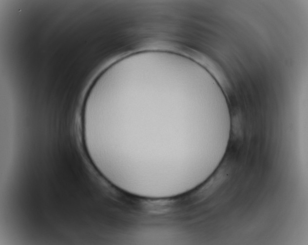 X0000093221150200710101340