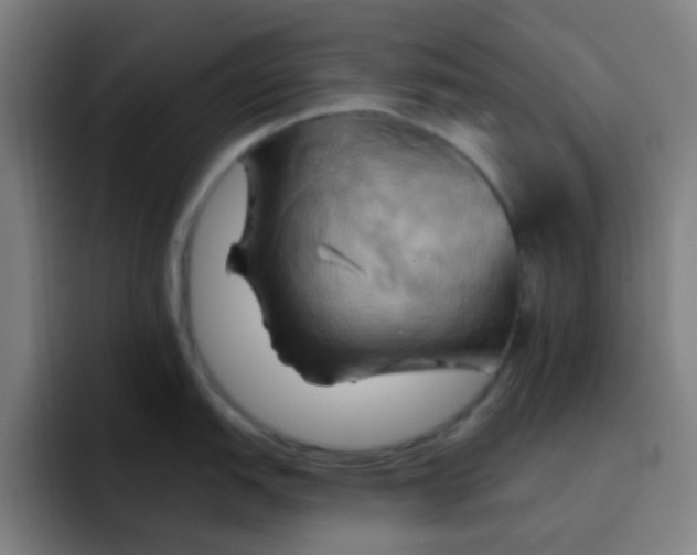 X0000093221151200710101340