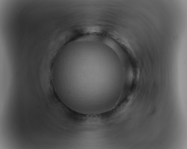 X0000093221153200710101339