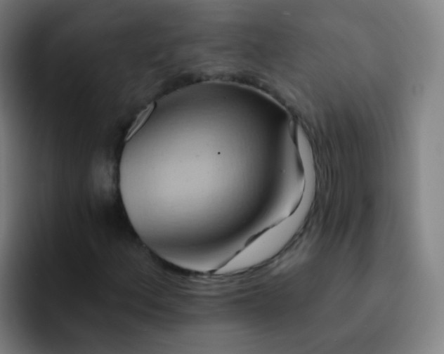 X0000093221156200710101339