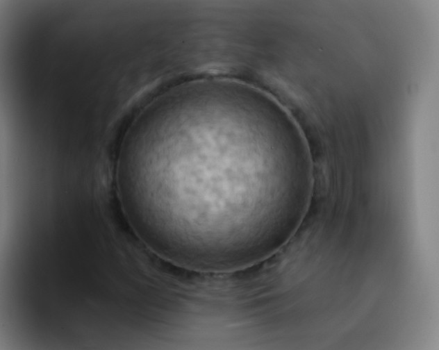 X0000093221158200710101339