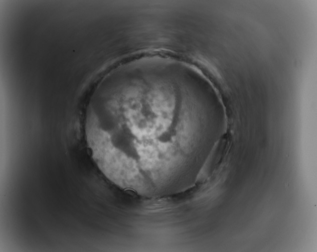 X0000093221159200710101339