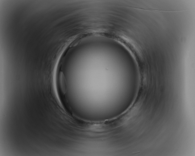 X0000093221161200710101339