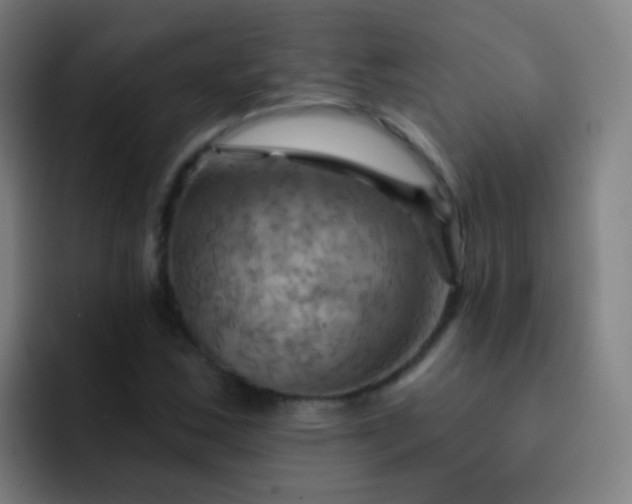 X0000093221163200710101339