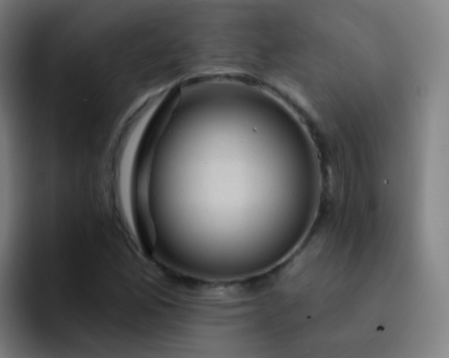 X0000093221165200710101339