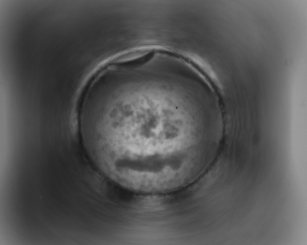 X0000093221167200710101339