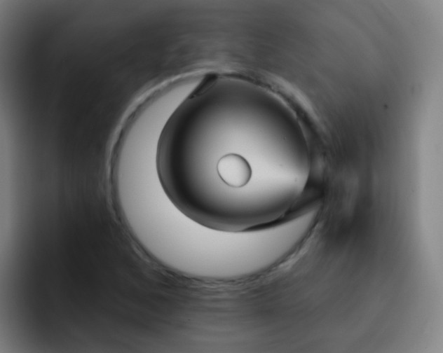 X0000093221168200710101339