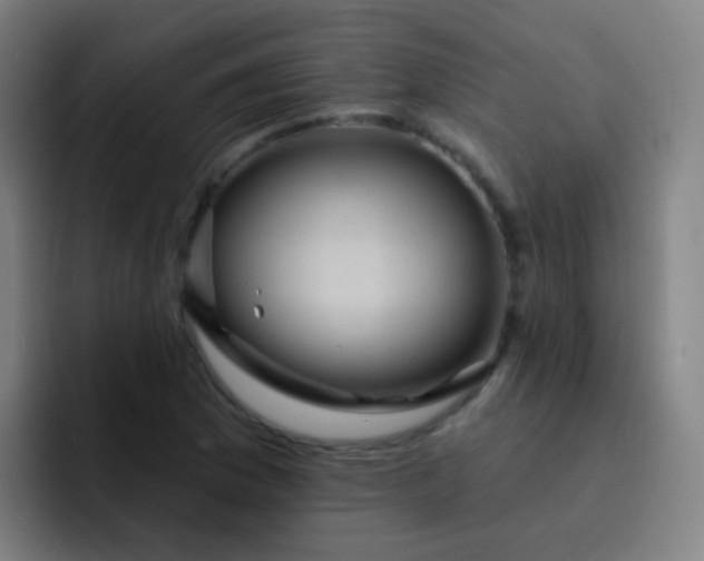 X0000093221169200710101339