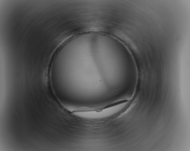 X0000093221170200710101339