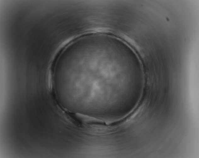 X0000093221171200710101339