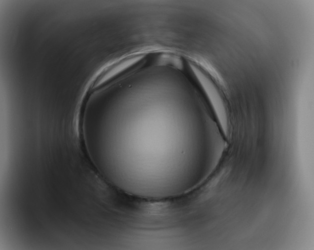 X0000093221173200710101339