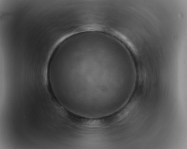 X0000093221174200710101339