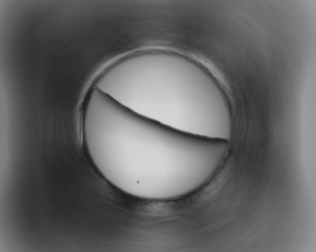 X0000093221175200710101339