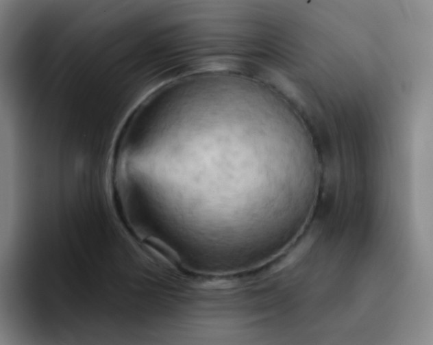 X0000093221178200710101339