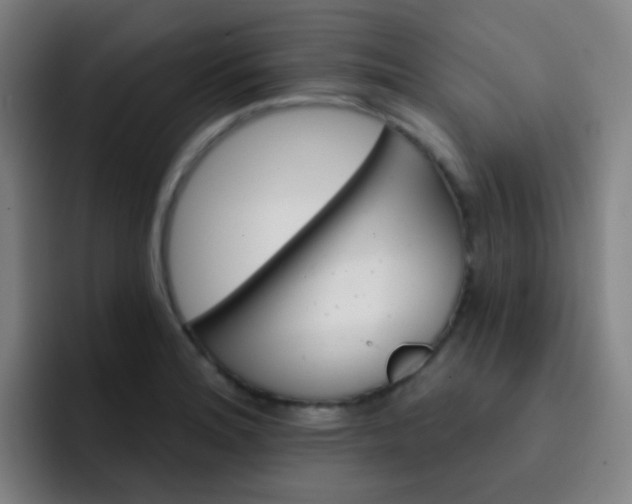 X0000093221180200710101339