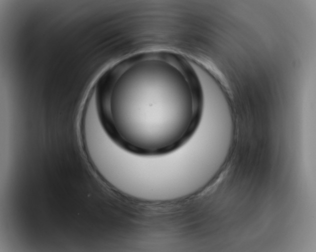 X0000093221181200710101339