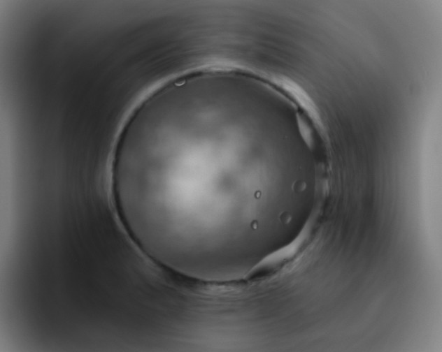 X0000093221183200710101339