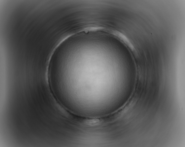 X0000093221186200710101339