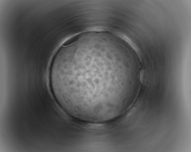 X0000093221187200710101339