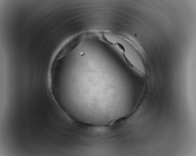 X0000093221188200710101339