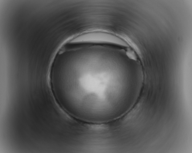 X0000093221189200710101339