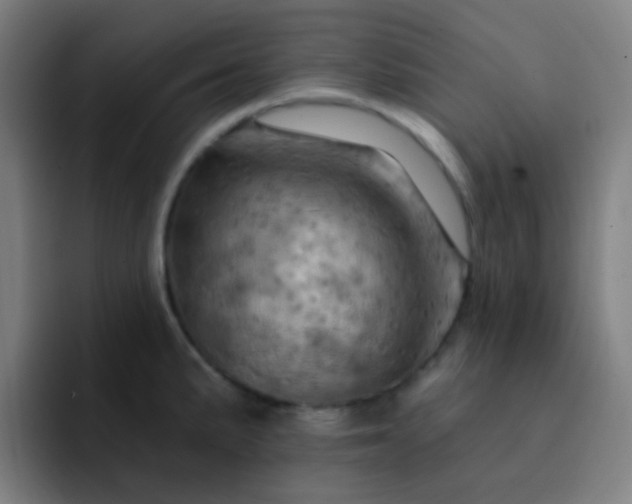 X0000093221191200710101339