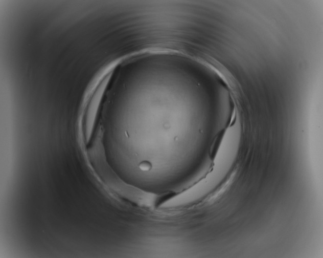 X0000093221196200710101339