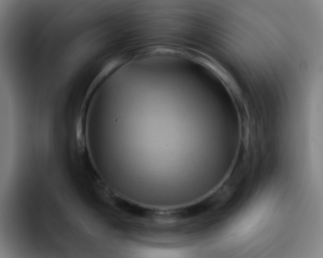 X0000093221198200710101339