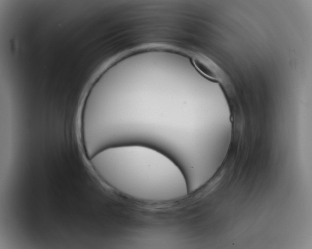 X0000093221199200710101339