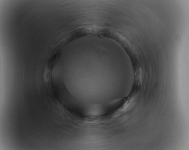 X0000093221202200710101338