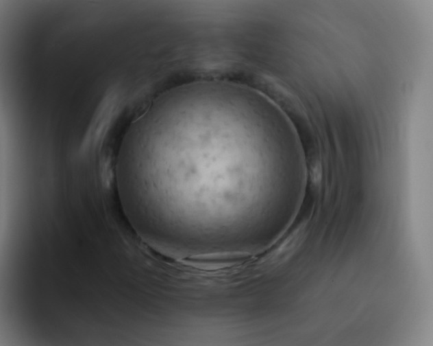 X0000093221204200710101338