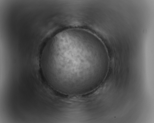 X0000093221205200710101338