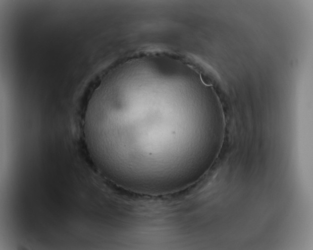 X0000093221207200710101338