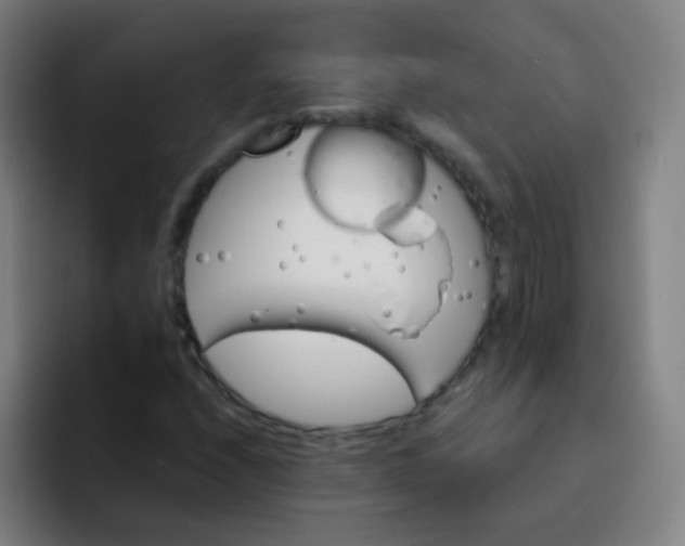 X0000093221208200710101338