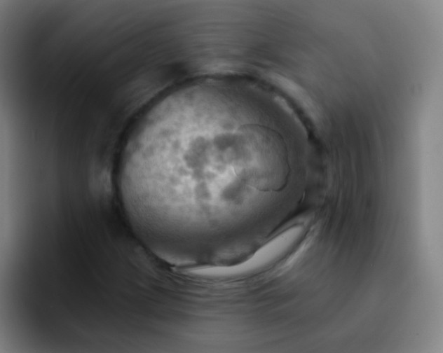 X0000093221209200710101338