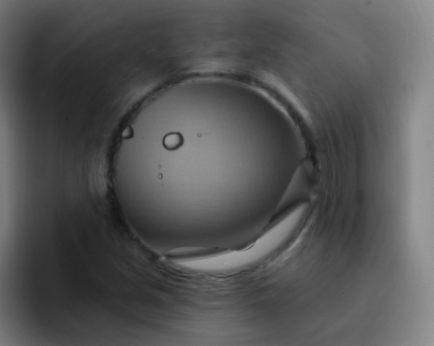 X0000093221213200710101338