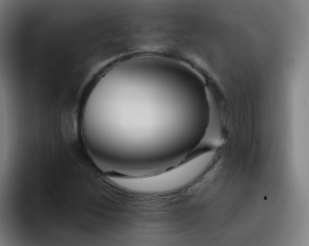 X0000093221214200710101338