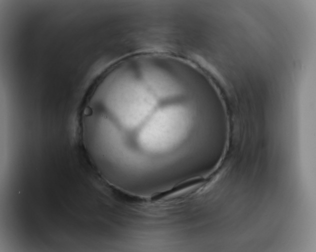 X0000093221215200710101338