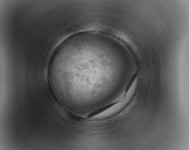 X0000093221216200710101338