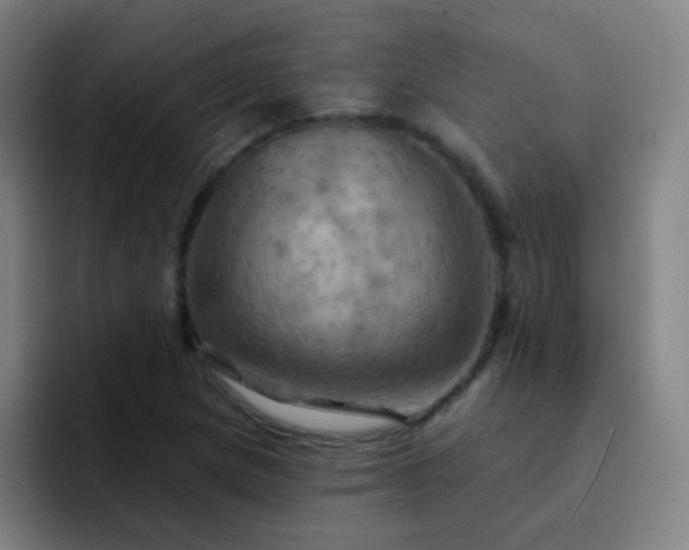 X0000093221217200710101339