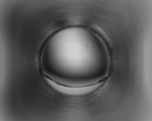 X0000093221218200710101339