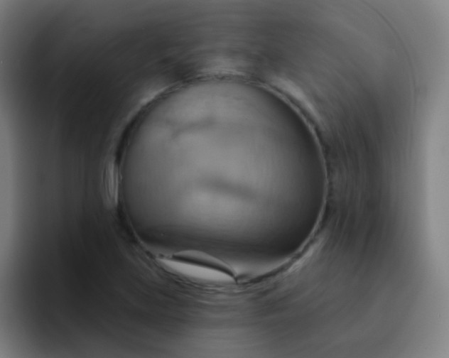 X0000093221219200710101339