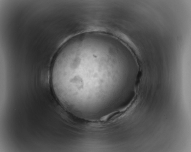 X0000093221220200710101339