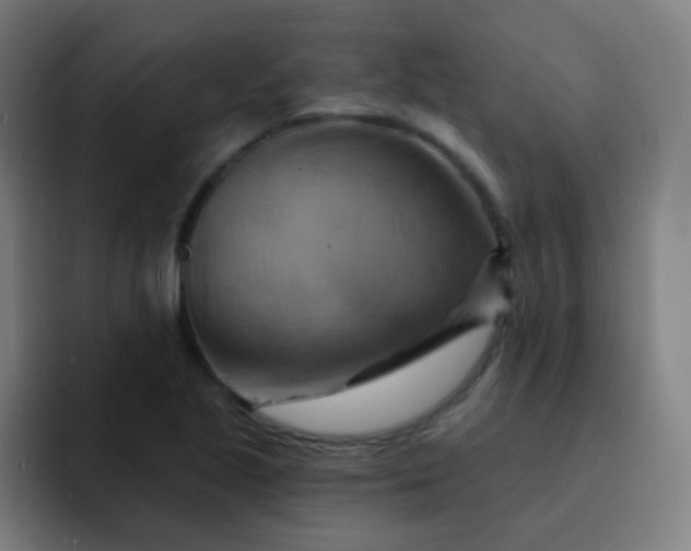 X0000093221221200710101339