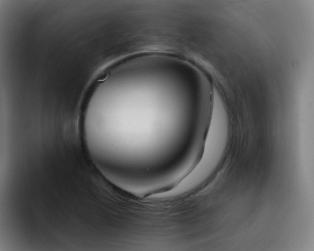 X0000093221222200710101339