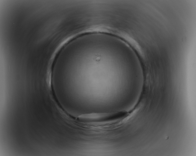 X0000093221224200710101339