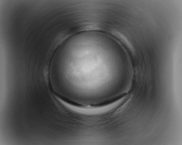 X0000093221225200710101339