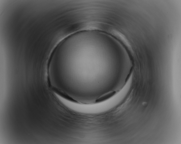 X0000093221226200710101339