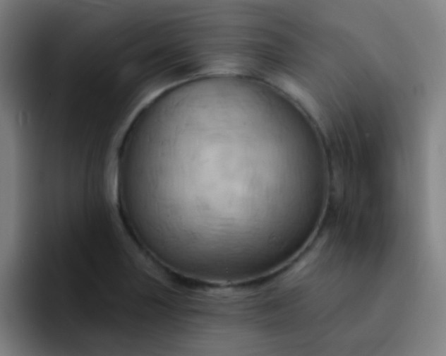 X0000093221227200710101339