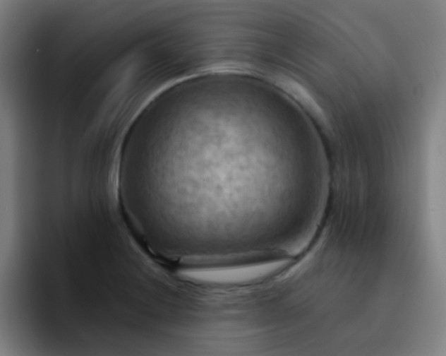 X0000093221228200710101339